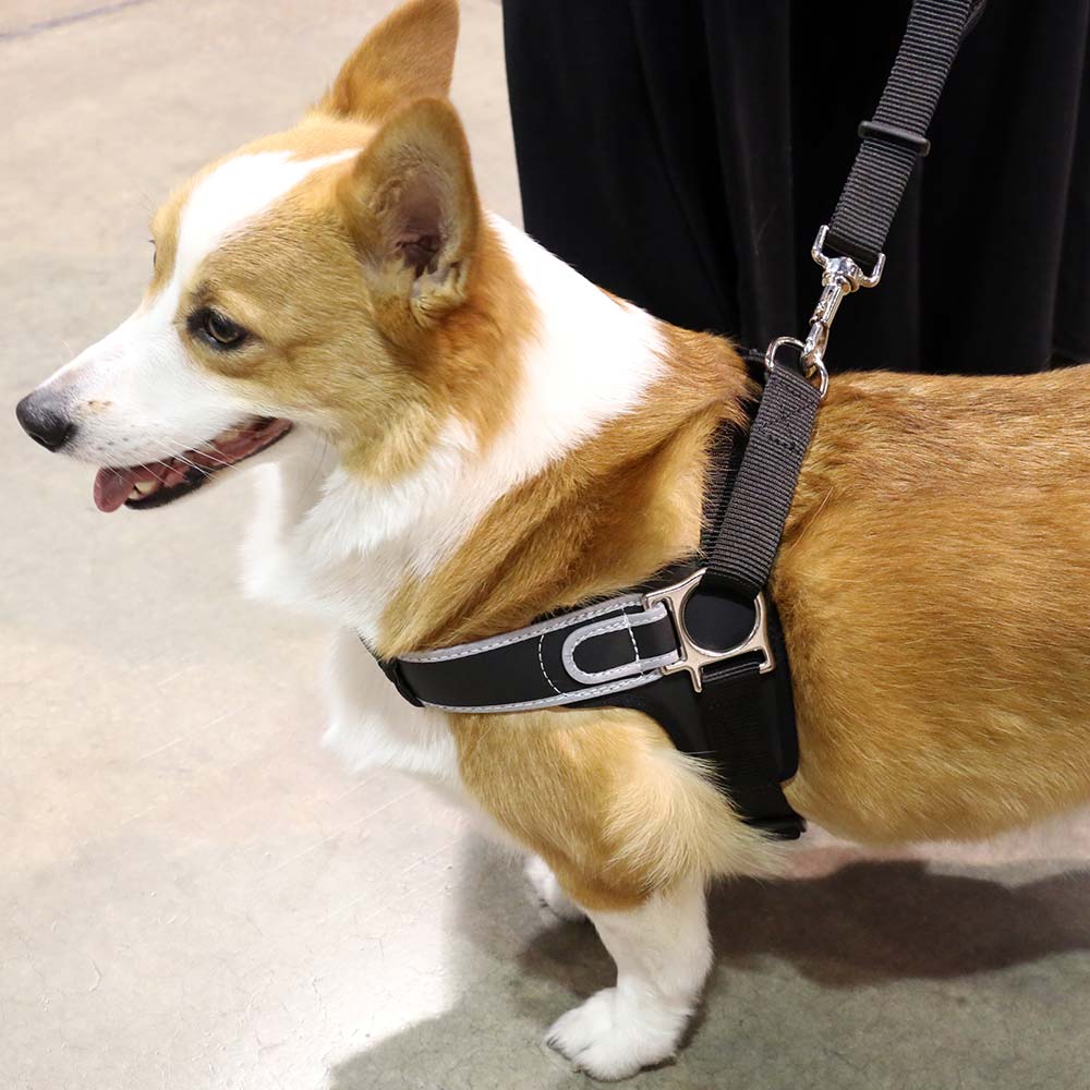 Italian Made Tre Ponti Dog Harness