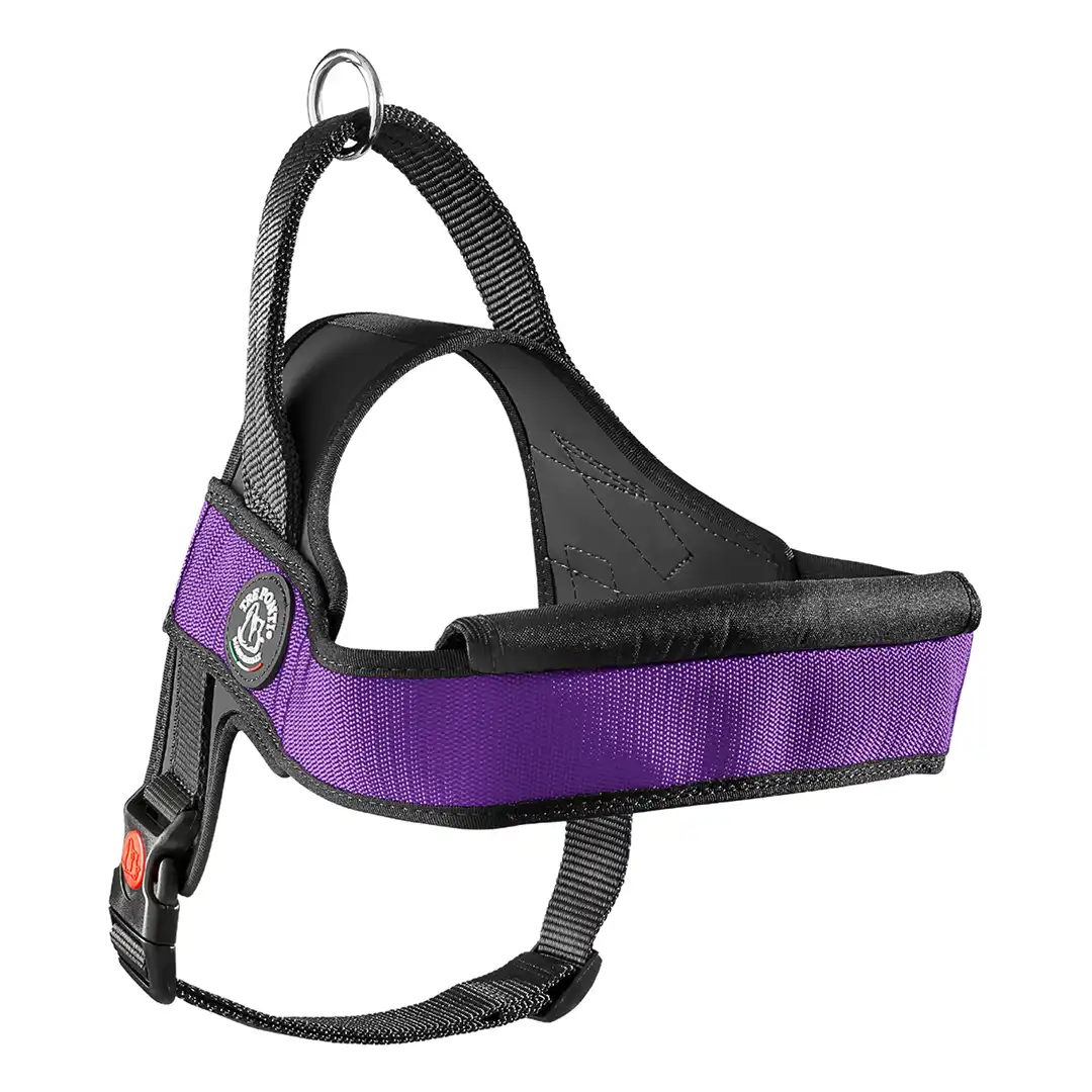 Primo_Plus_purple_1200x1200.