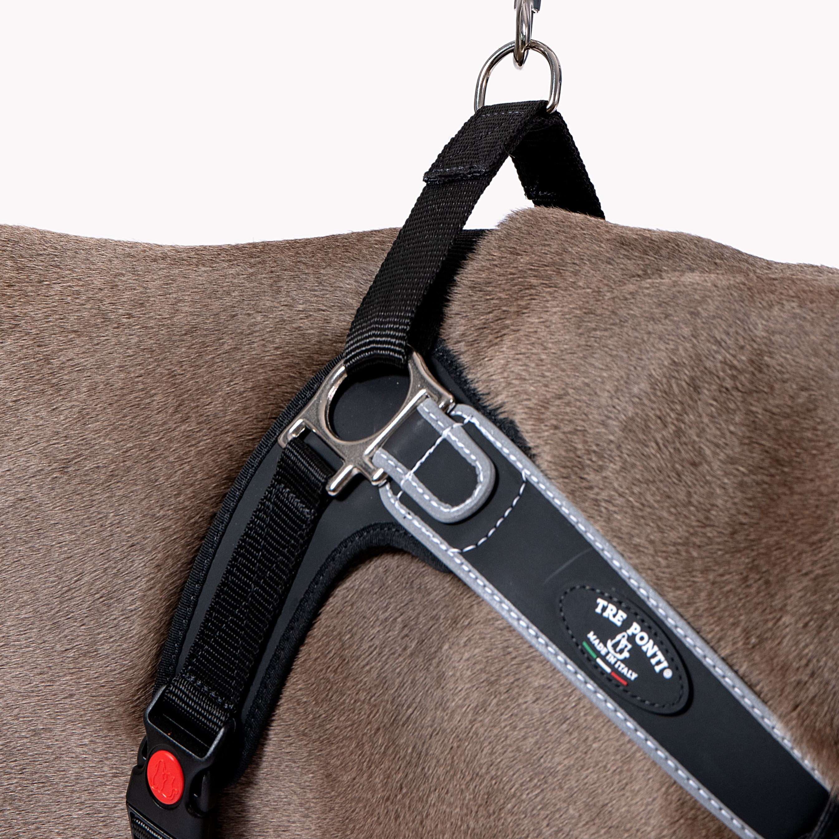 Forza No Pull Harness