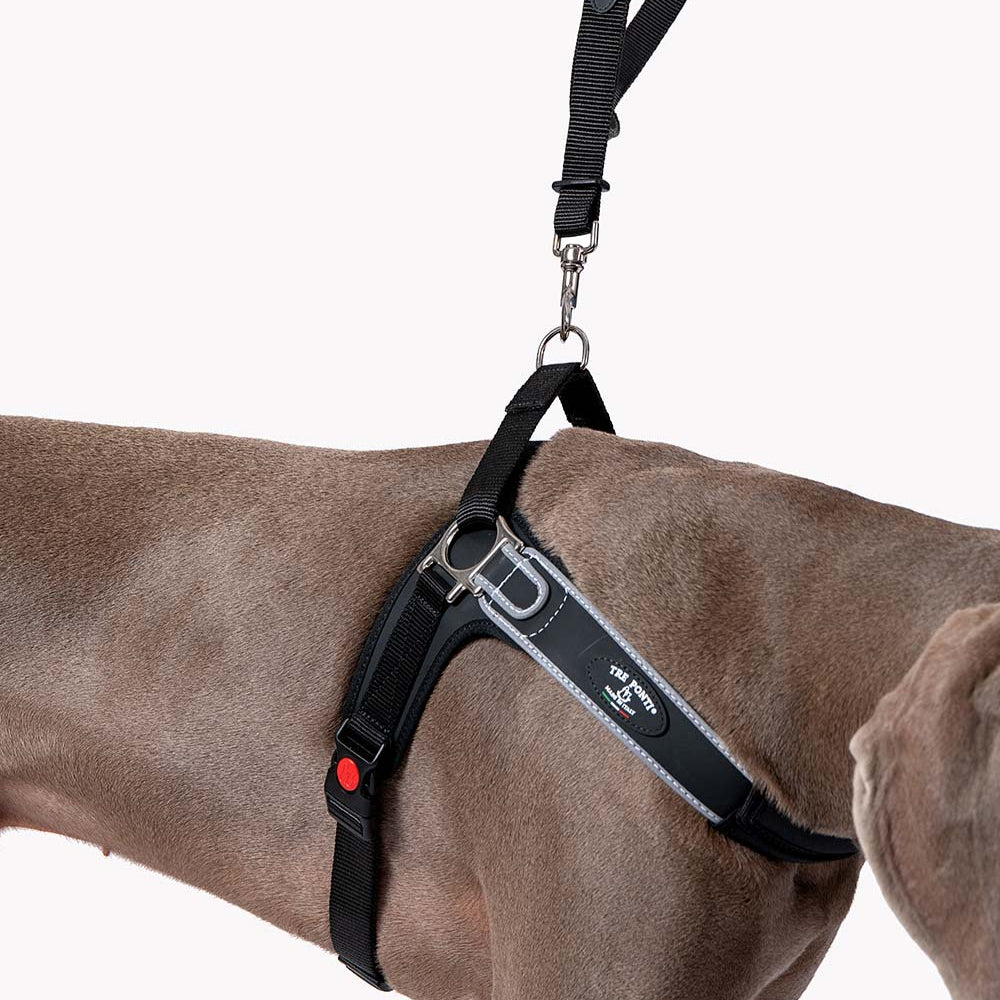 Forza No Pull Harness