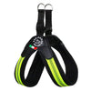 Tre Ponti Fluo Pop Buckle Harness in Yellow