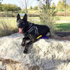 Brindle German Shepherd at park laying on a boulder wearing Tre Ponti Brio Harness in Pink