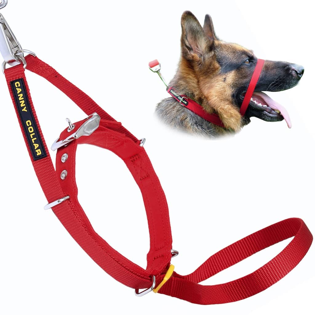 Dog Harness Rope Halti For Dogs Heavy Duty Dog Leash Halti Nylon