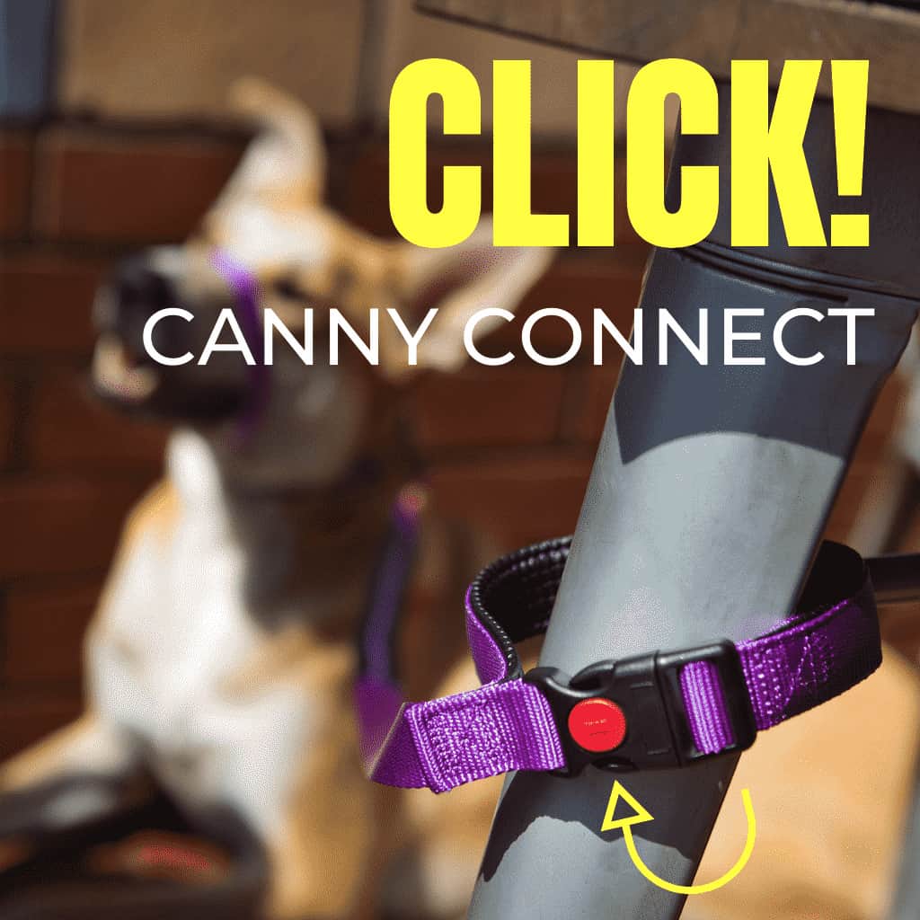 Canny collar top pets place