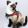 Stuffed cat wearing Tre Ponti Charisma Strap harness in Red