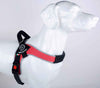 Porcelain dog model wearing Tre Ponti Brio ergonomic no pull dog harness for pets in red