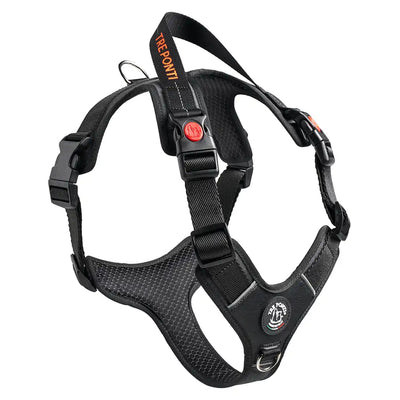Harmonia harness — 40% off