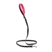 Mesh leash
