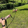 Human arms and hands shown against lovely green park background and Frenchie or French Bull Dog wearing a Tre Ponti Primo Plus harness in red. Training is being done with a Tre Ponti Long Run 16.4' Training Leash