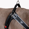 Forza No Pull Harnesses