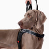 Forza No Pull Harnesses