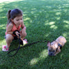 Girl squatting in grass holding Tre Ponti Mesh Leash in Black connected to relaxed French Bulldog wearing Tre Ponti Mesh Strap Harness in Black