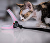 Short hair small two-tone color kitten playing on the table with her Tre Ponti Genesis Strap Pink harness with reflective trims  