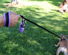 Hand holding Tre Ponti Mesh Leash in Lavender connected to French Bulldog standing in the grass at the park