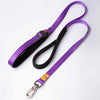 Canny Leash Connect purple - designed to train your dog with the Canny Collar