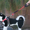 Person's hand holding main handle and showing full length of Tre Ponti Double Handle Short Leash in Red