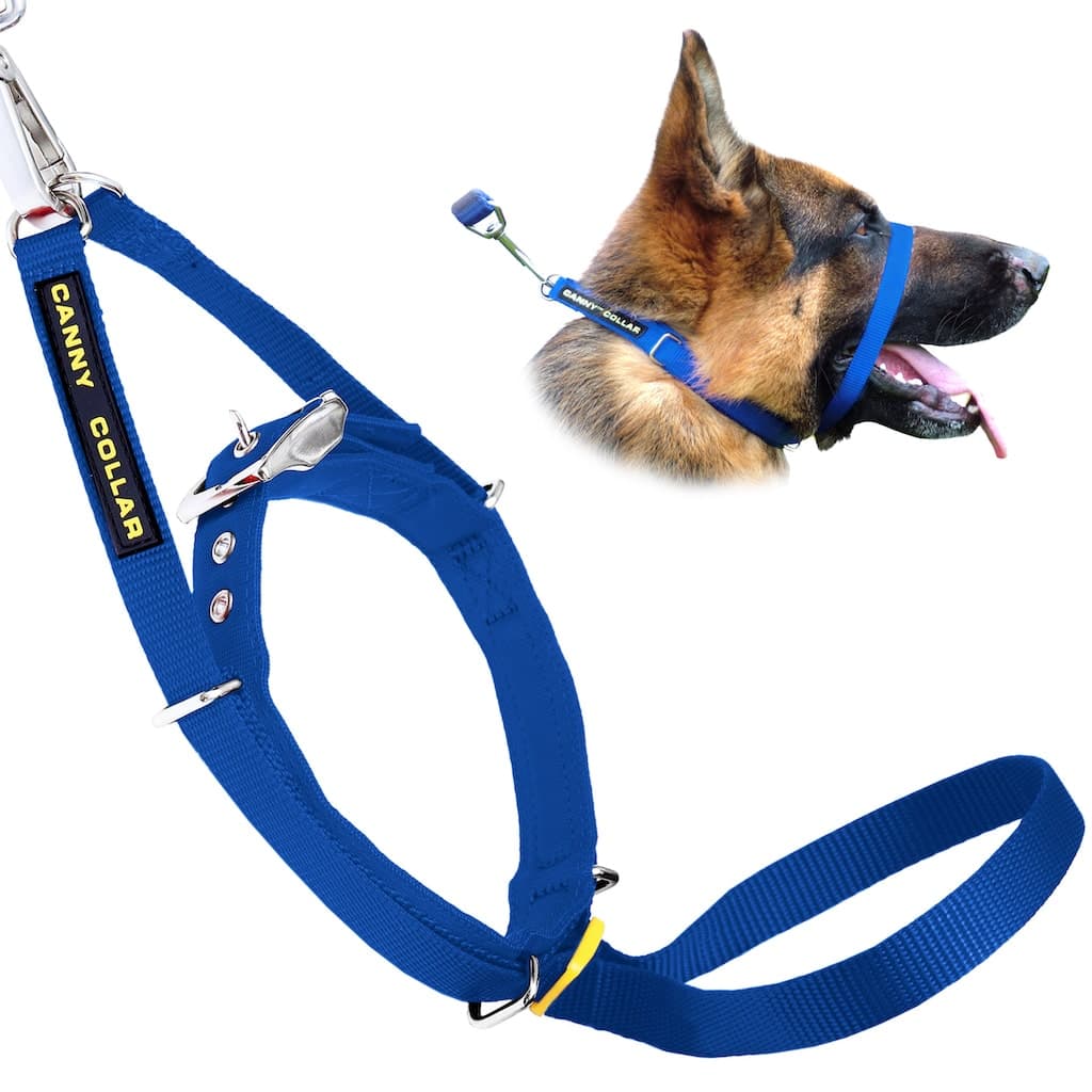 Collar Halter For Dogs That Pull Dog Harness Good Boy Dog Head