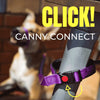 Dog leash with lockable buckle on handle that opens to secure it to a fixed point