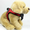 Stuffed doggie wearing Tre Ponti Charisma Strap harness in Red