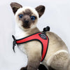 Stuffed cat wearing Tre Ponti Charisma Strap harness in Red