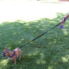 Hand holding Tre Ponti Mesh Leash in Lavender connected to French Bulldog standing alert in the grass at the park